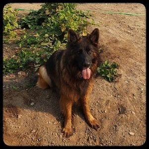 Meet your Posher, Patrick